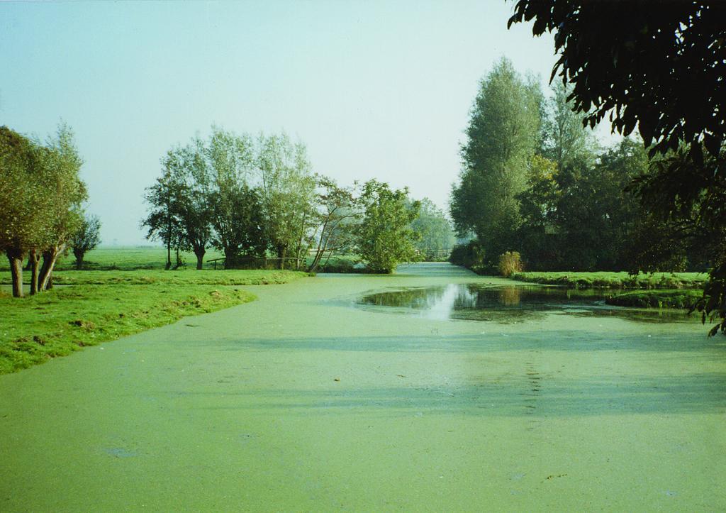 De Boomgaard Groene Hart Polsbroekerdam Exterior photo