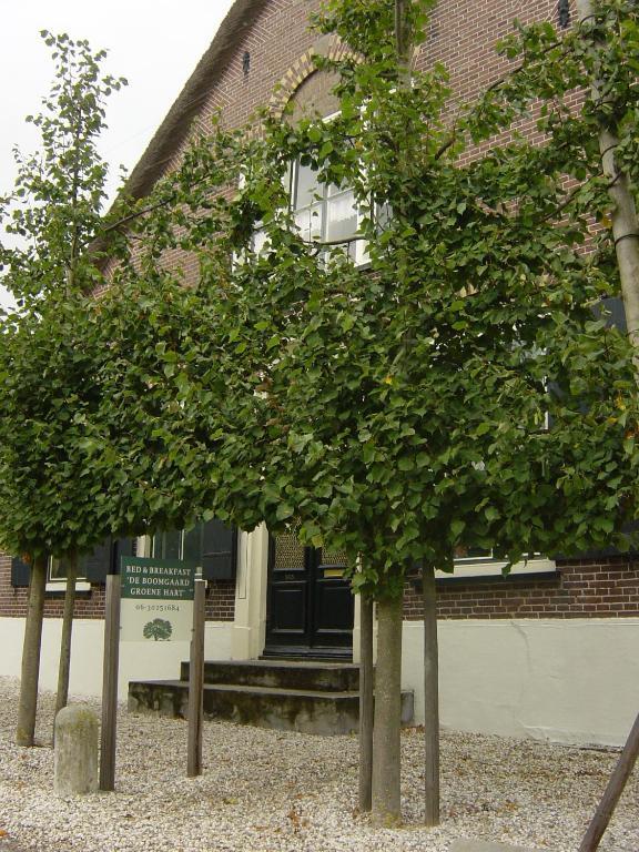De Boomgaard Groene Hart Polsbroekerdam Exterior photo